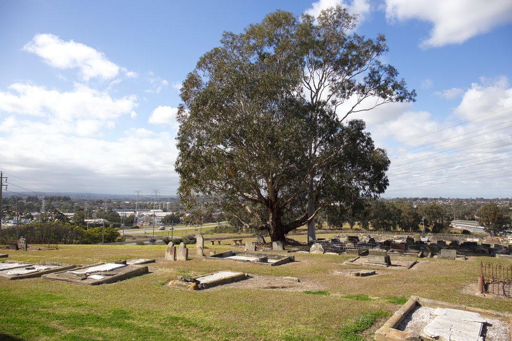 St Bartholomew's Cemetery, Prospect