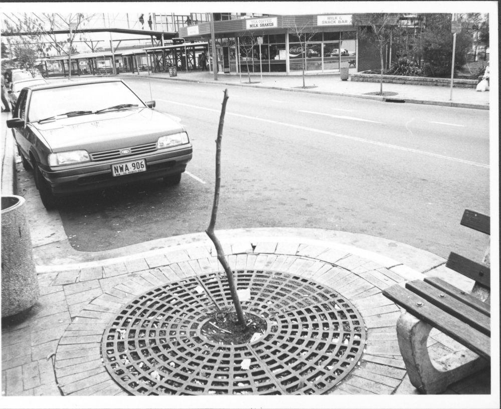 Main Street, Blacktown