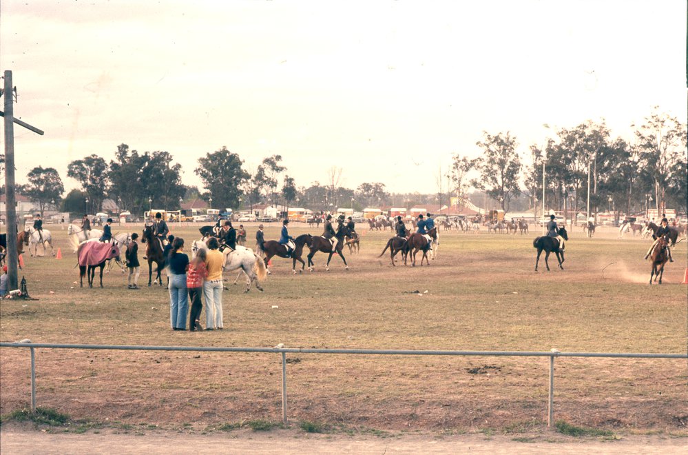 Horse event at Blacktown Showground