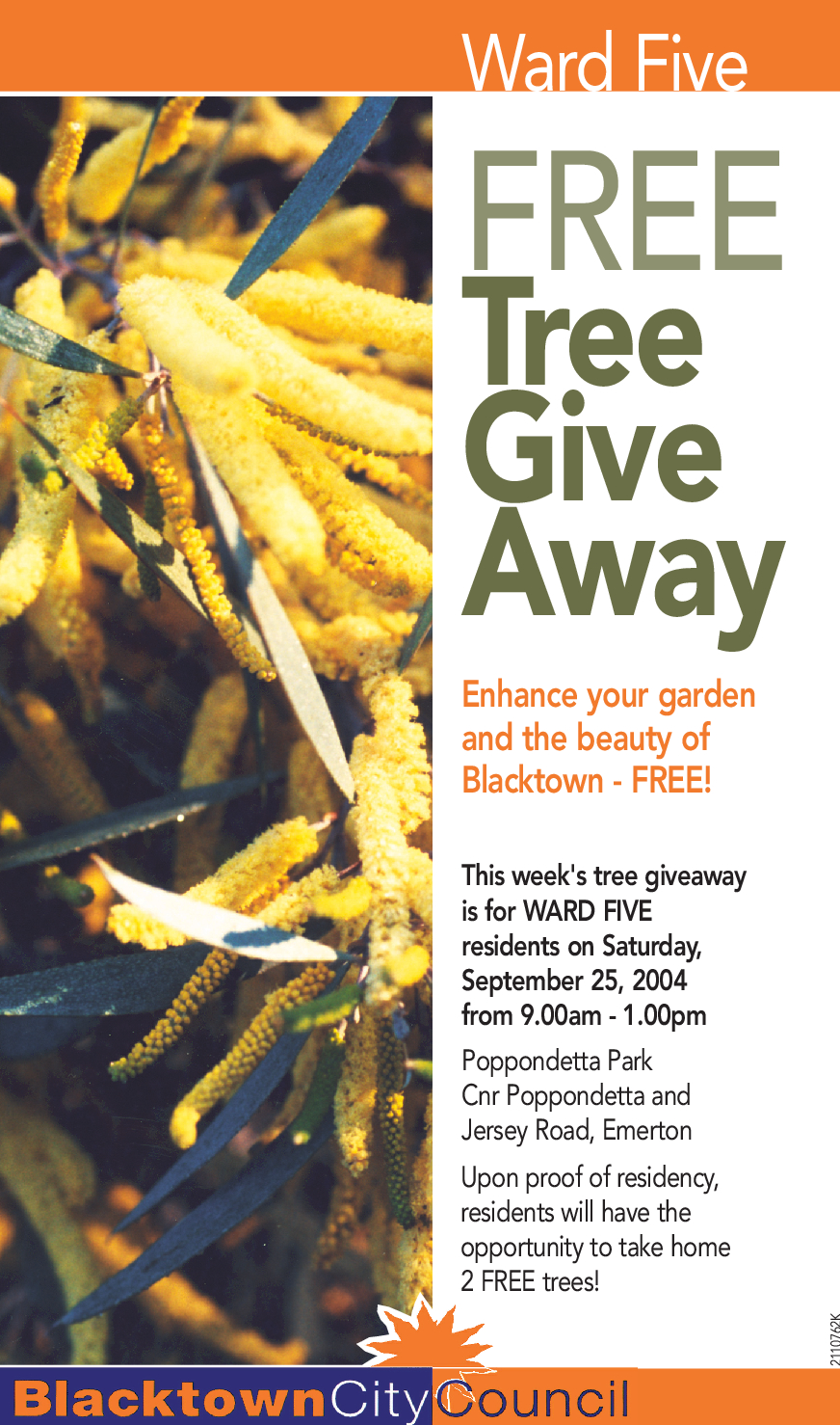 Ward Five, Free Tree give away, 2004