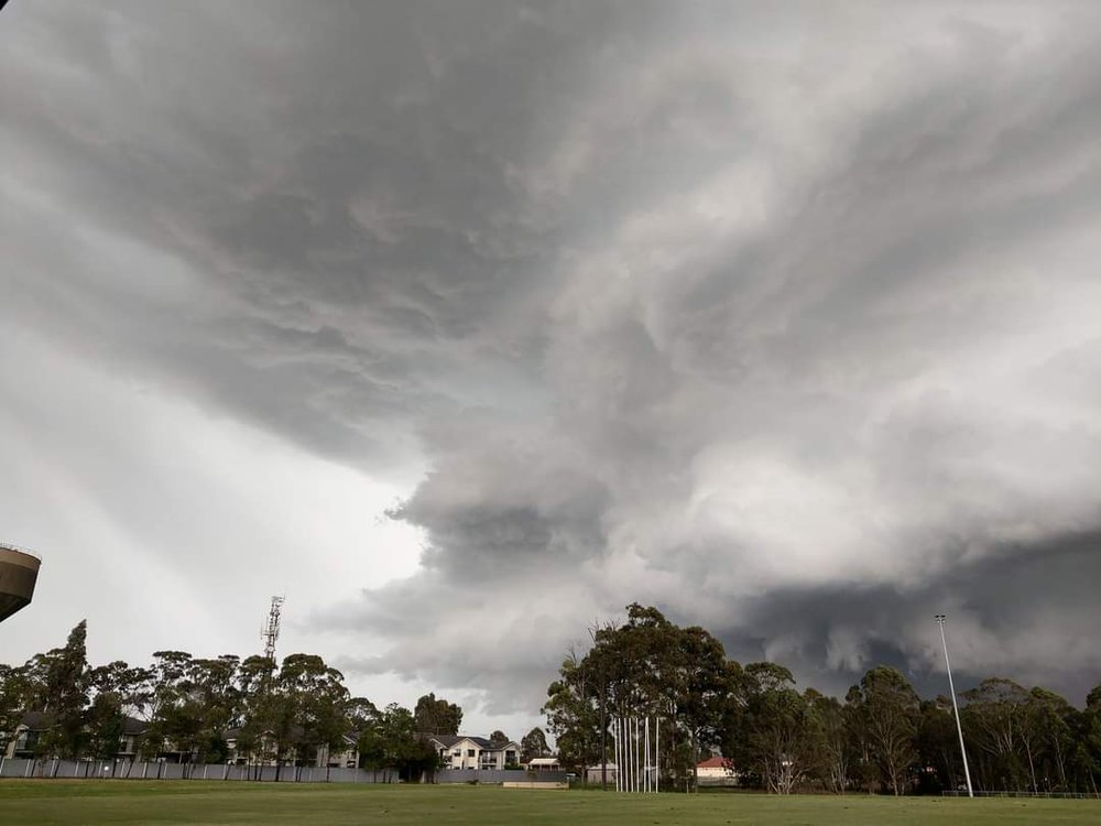 Hailstorms, Acacia Gardens