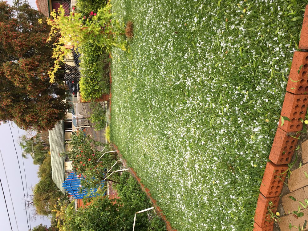 Hailstorm, Lethbridge Park, 2021