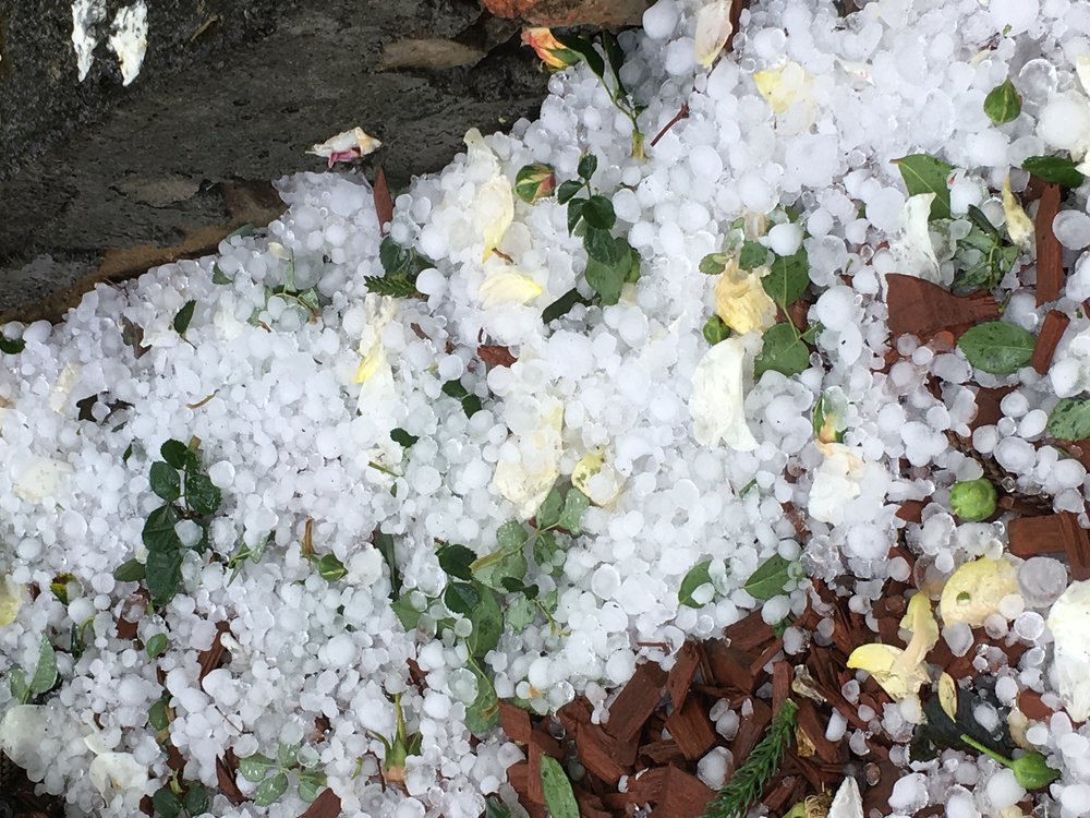 Hailstorm, Lethbridge Park, 2021