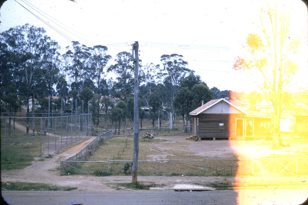 House, Alpha Street, Blacktown