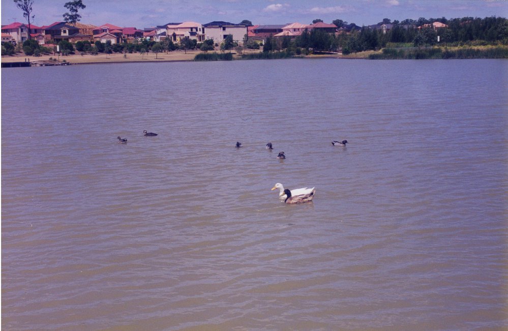 Lake Woodcroft, Woodcroft