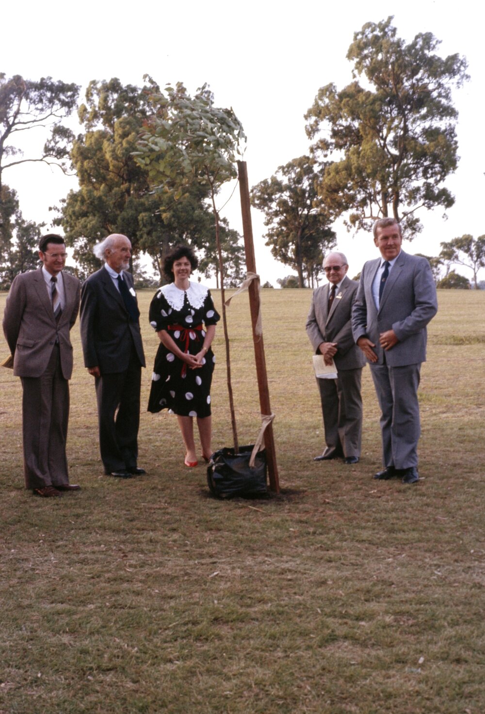 Battle of Vinegar Hill Commemorative Ceremony, 1984