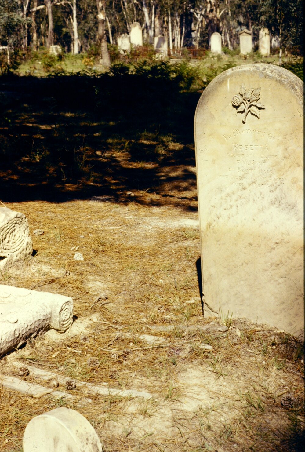 Grave of Rosetta &ldquo;Rose&rdquo; Martin Meurant