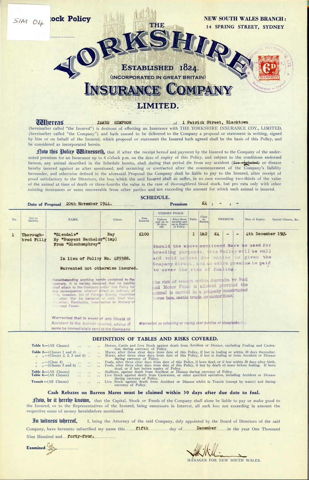  Insurance Policy 'Glendale' filly, 1944