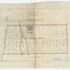 Subdivision of Richard Alcorn's grant, Richmond Road, c1880s