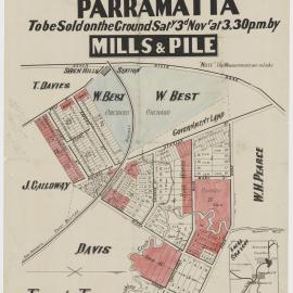 Plan of unsold lots Toongabbee Park, Toongabbie, 1883
