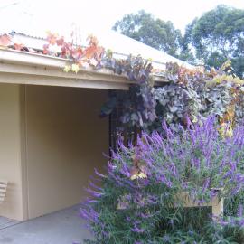 Mamre House and Farm, Orchard Hills
