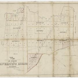 Plan of 59 farms on the Riverstone Estate near Windsor, 1856