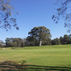 Ashlar Golf Course, Blacktown