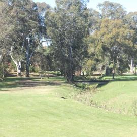Ashlar Golf Course, Blacktown