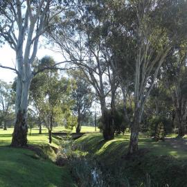 Ashlar Golf Course, Blacktown