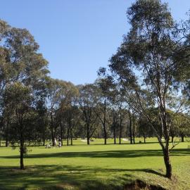 Ashlar Golf Course, Blacktown