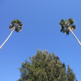 Ashlar Golf Course, Blacktown