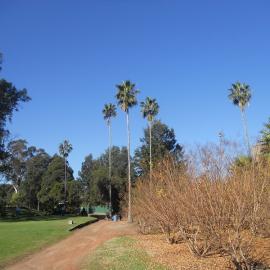 Ashlar Golf Course, Blacktown