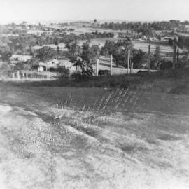 A Paddock in Seven Hills