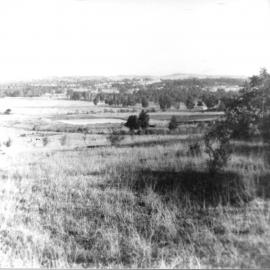 A Paddock in Seven Hills