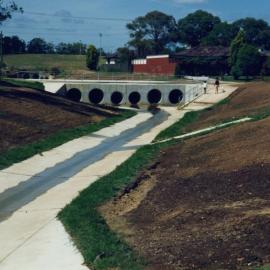 Blacktown Creek, Prospect
