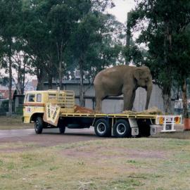 Ashton's Circus at Blacktown Showground, Blacktown