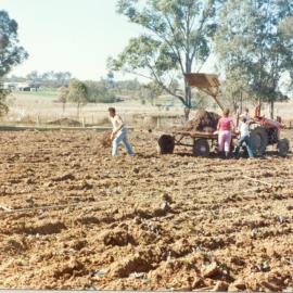 Farming at Schofields