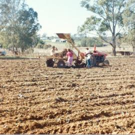 Farming at Schofields