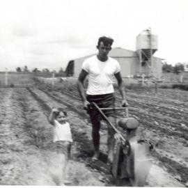Farming at Schofields