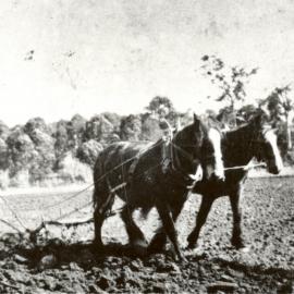 Farming