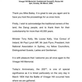 Battle of Vinegar Hill Commemoration, 2006