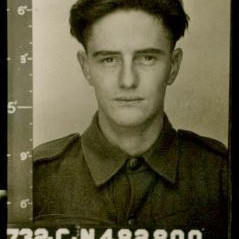 Hayes, Walter Newton