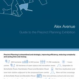 Alex Avenue: Guide to the Precinct Planning Exhibition, 2009