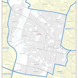 Blacktown electorate, 2021