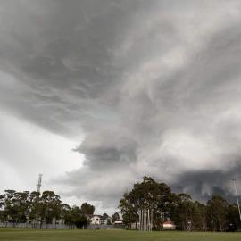 Hailstorms, Acacia Gardens