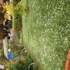 Hailstorm, Lethbridge Park, 2021