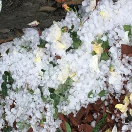 Hailstorm, Lethbridge Park, 2021