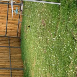 Hailstorm, Rooty Hill, 2021