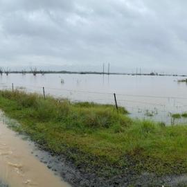 Flooding at Vineyard, 2021 