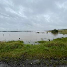 Flooding at Vineyard, 2021 