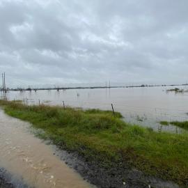 Flooding at Vineyard, 2021 