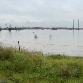 Flooding at Vineyard, 2021 