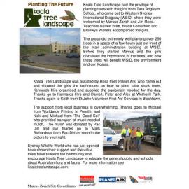 Koala Tree Landscape tree planting, 2006