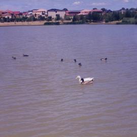 Lake Woodcroft, Woodcroft