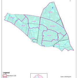 Blacktown City Council Ward 2, 2021