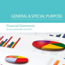 Blacktown City Council Financial Statements, 2014-2015
