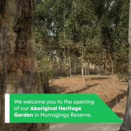 Aboriginal Heritage Garden, Nurragingy Reserve, Doonside, 