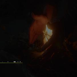 Smoking Ceremony, Warrick Lane Precinct,  2021