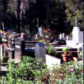 Riverstone CemeteryInformation, c2020