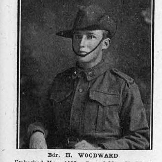 Woodward, Herbert